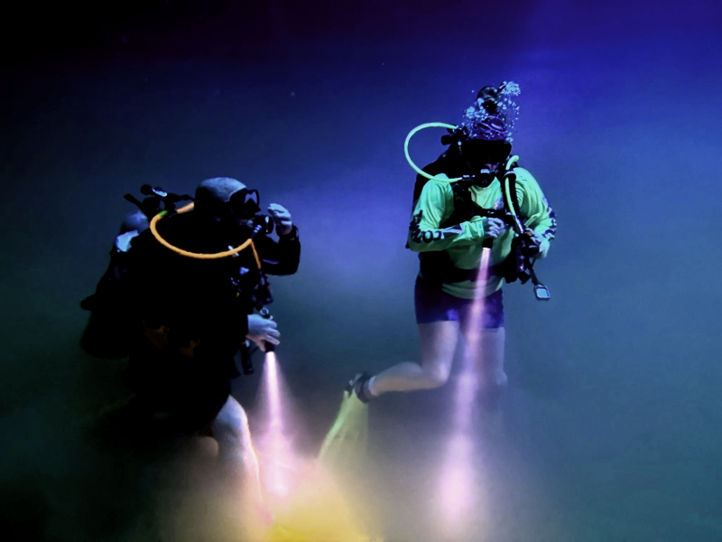During a night dive you can't see anything the flashlight doesn't touch. This isn't even a night dive.