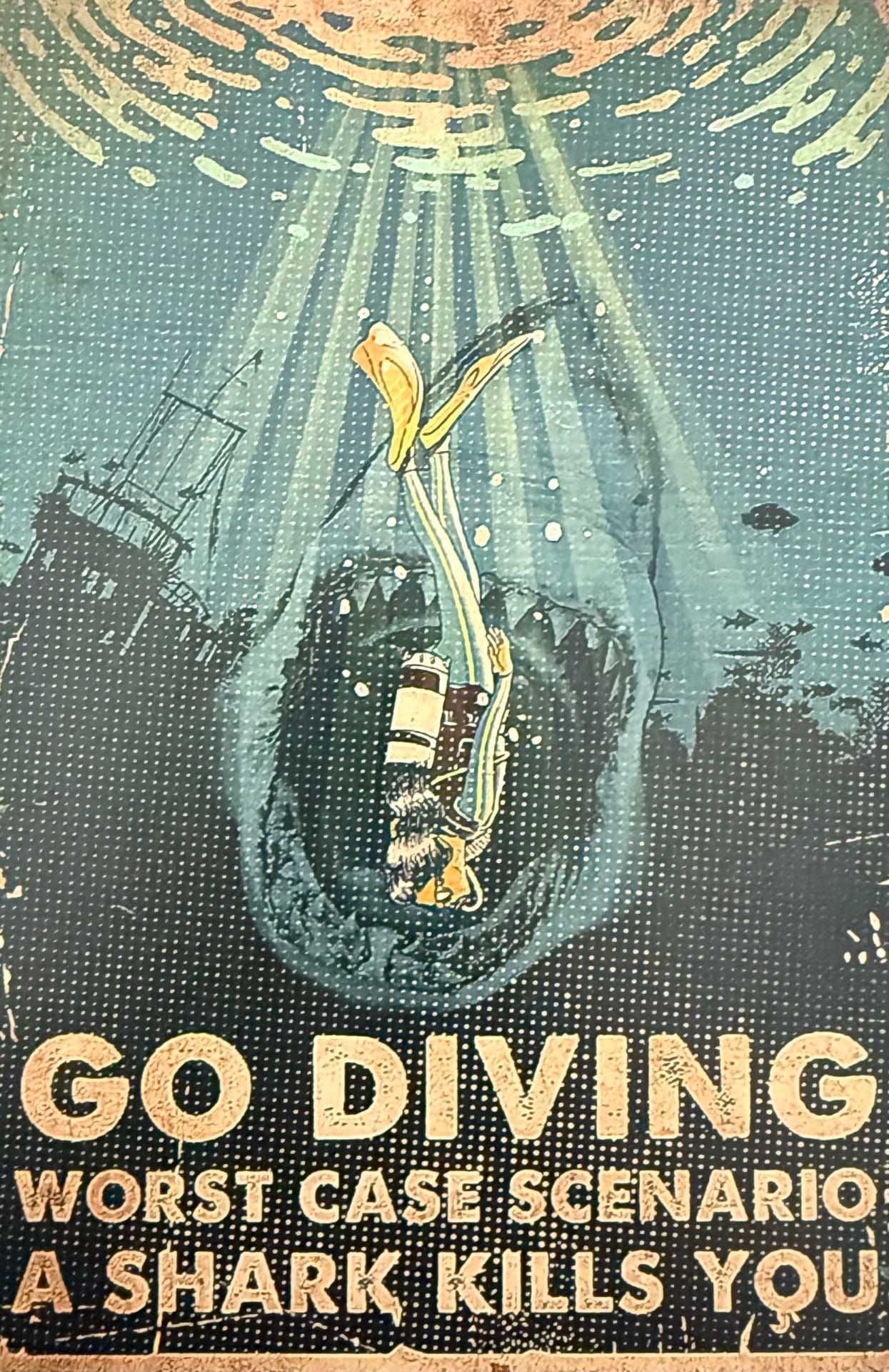 Go Diving: Worst Case Scenario a shark kills you