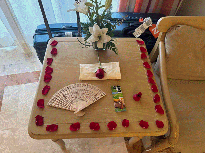 The roses and chocolate they left for my boyfriend as an apology for the toilet trials that I endured.