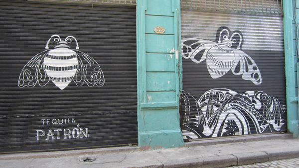 how to drink tequila on an island