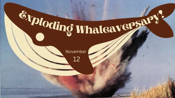 The exploding whale was exploded on November 12, 1970 and it was an epic mistake so hilarious you can barely believe it