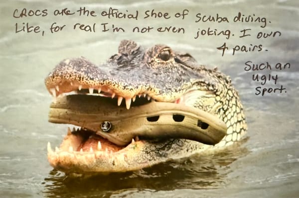 Crocs are the official shoe of scuba diving. Like, for real I'm not even joking. I own 4 pairs. Such an ugly sport