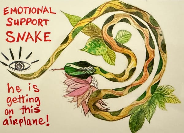 Photo of a snake that says "emotional support snake. he is getting on this airplane!